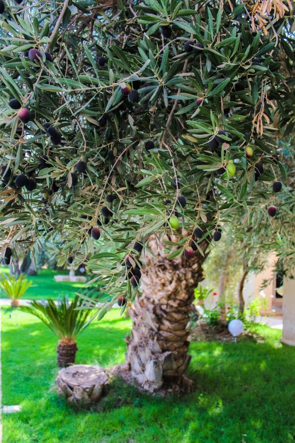 Riad Le Jasmin Taroudant Dış mekan fotoğraf