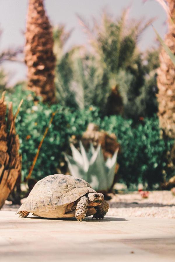 Riad Le Jasmin Taroudant Dış mekan fotoğraf