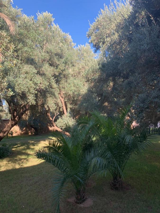 Riad Le Jasmin Taroudant Dış mekan fotoğraf