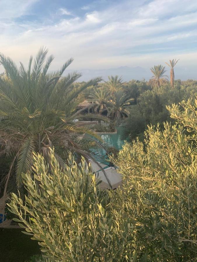 Riad Le Jasmin Taroudant Dış mekan fotoğraf