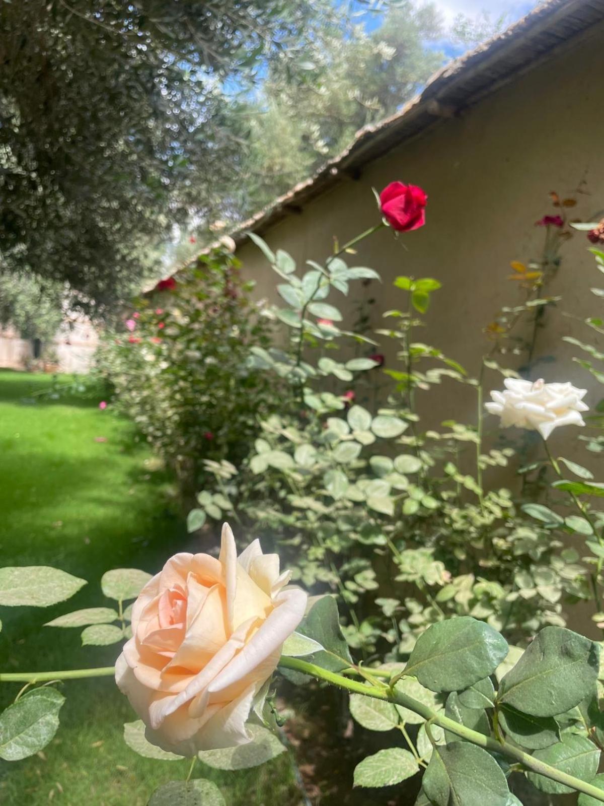 Riad Le Jasmin Taroudant Dış mekan fotoğraf