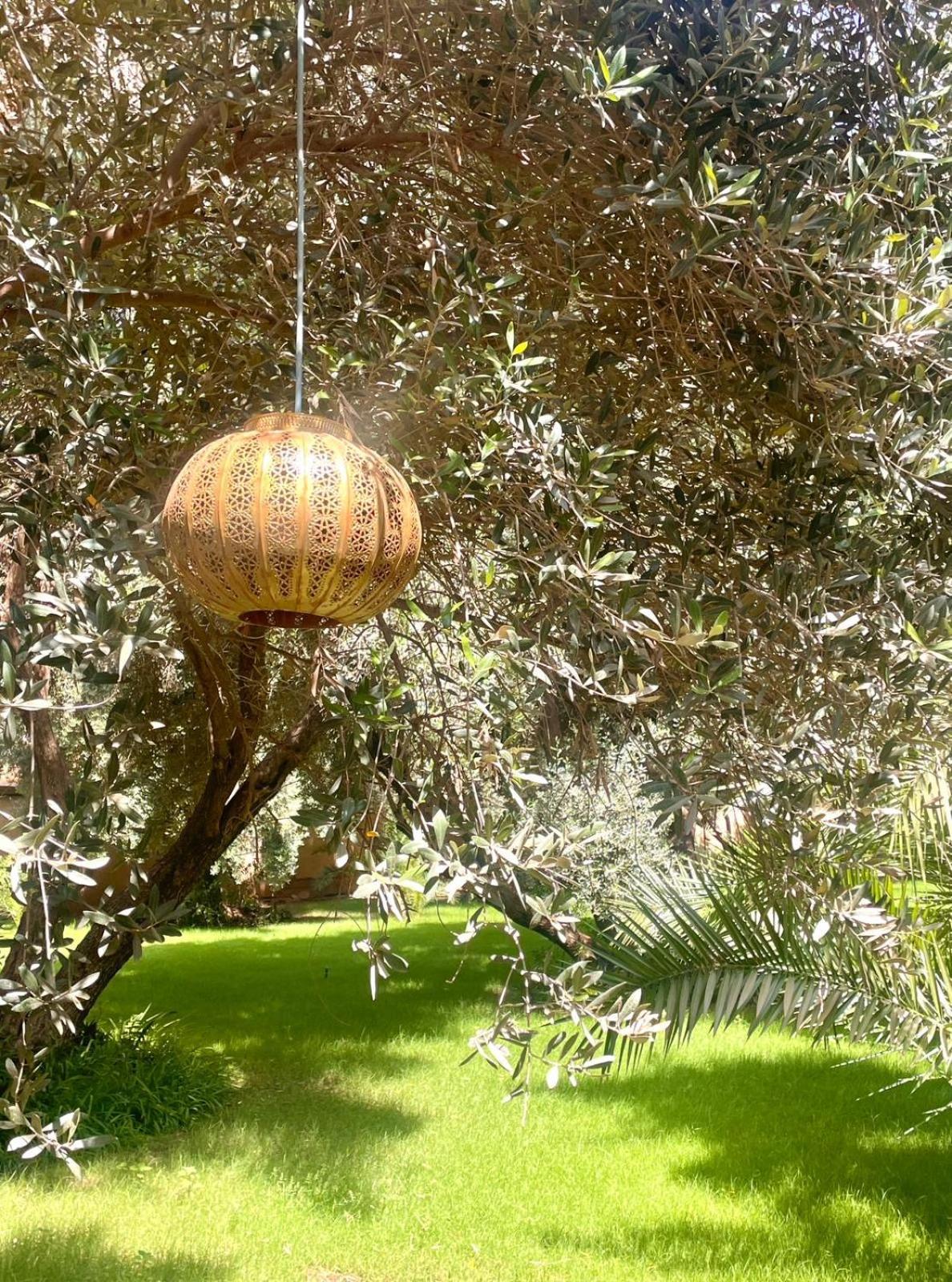 Riad Le Jasmin Taroudant Dış mekan fotoğraf