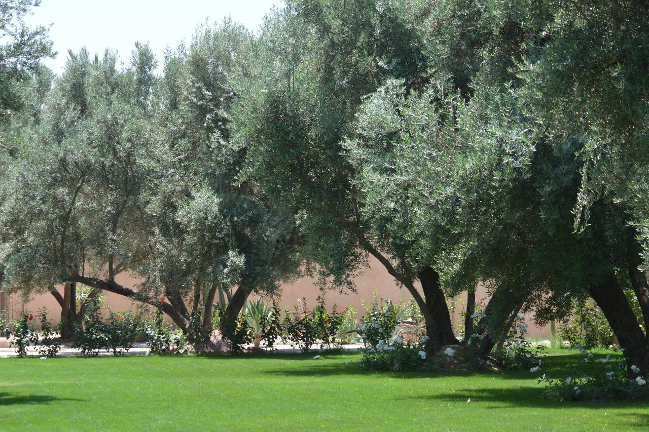 Riad Le Jasmin Taroudant Dış mekan fotoğraf